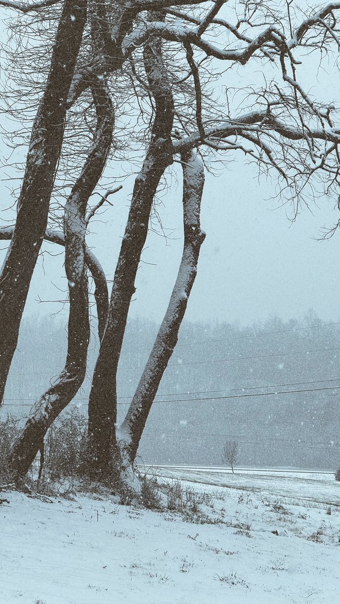 JasonCalhoun_'s tweet image. Can’t beat a good snow day. It’s like nature itself telling me to take the day off… and who am I to argue?