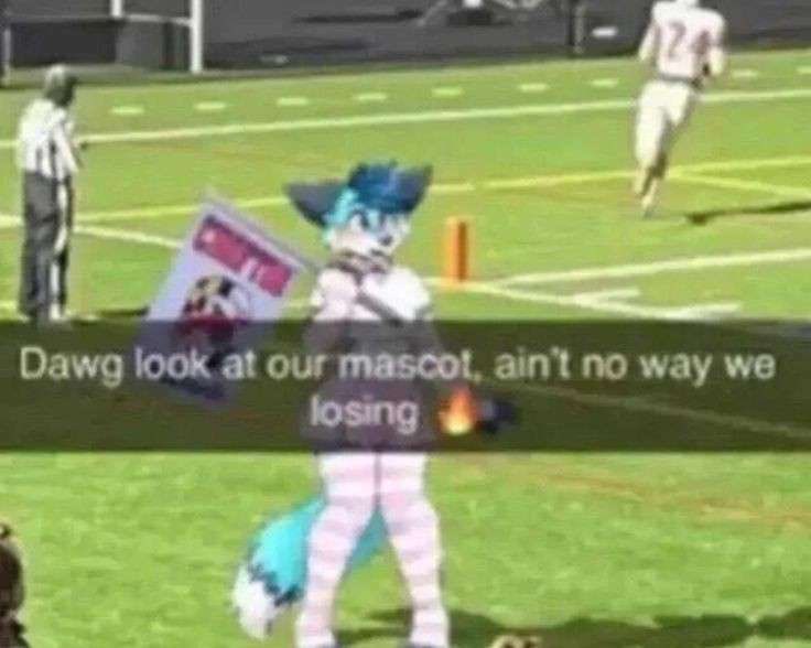 Furry memes tweet media