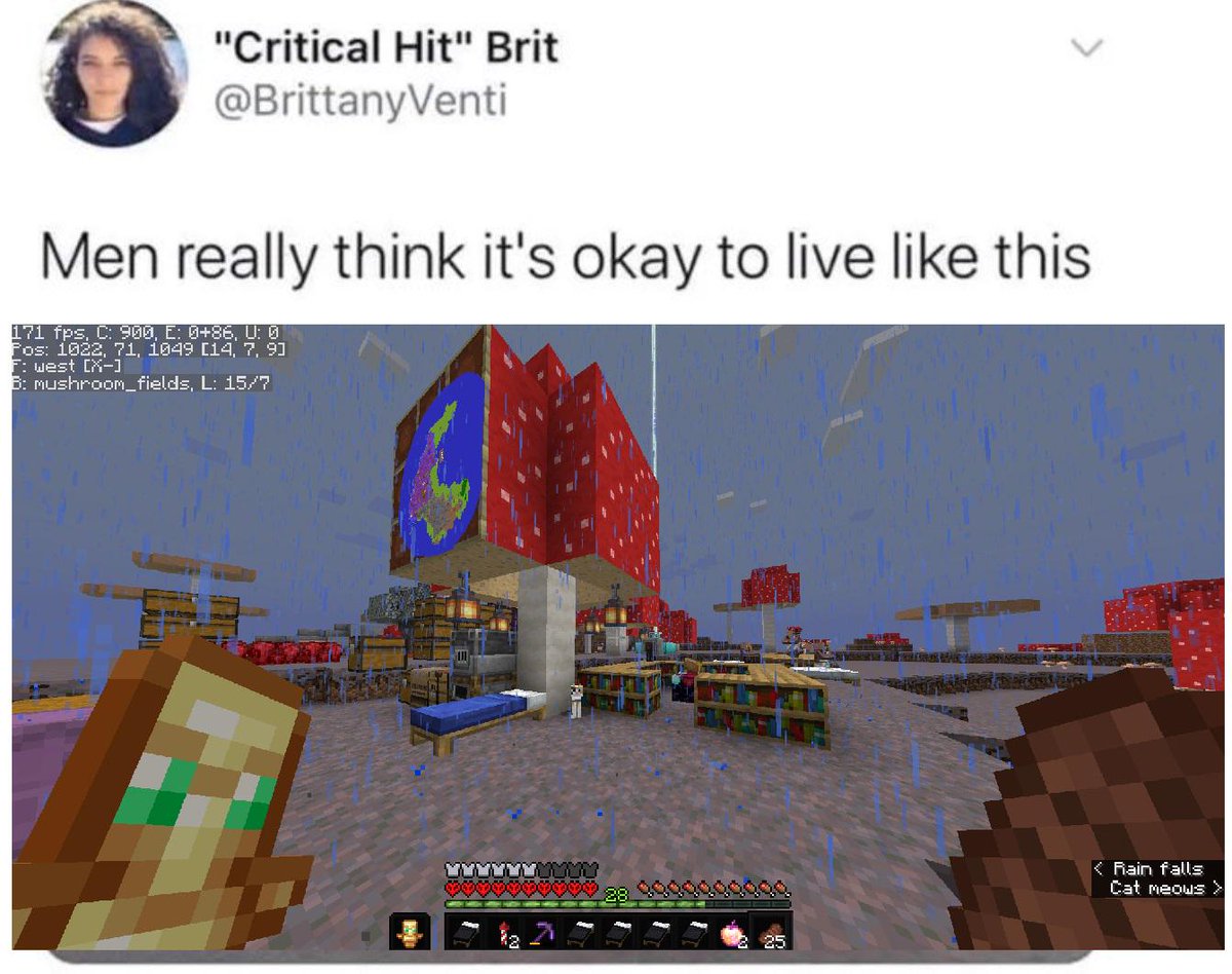 MinecraftMeme16's tweet image. it doesn&apos;t take a lot