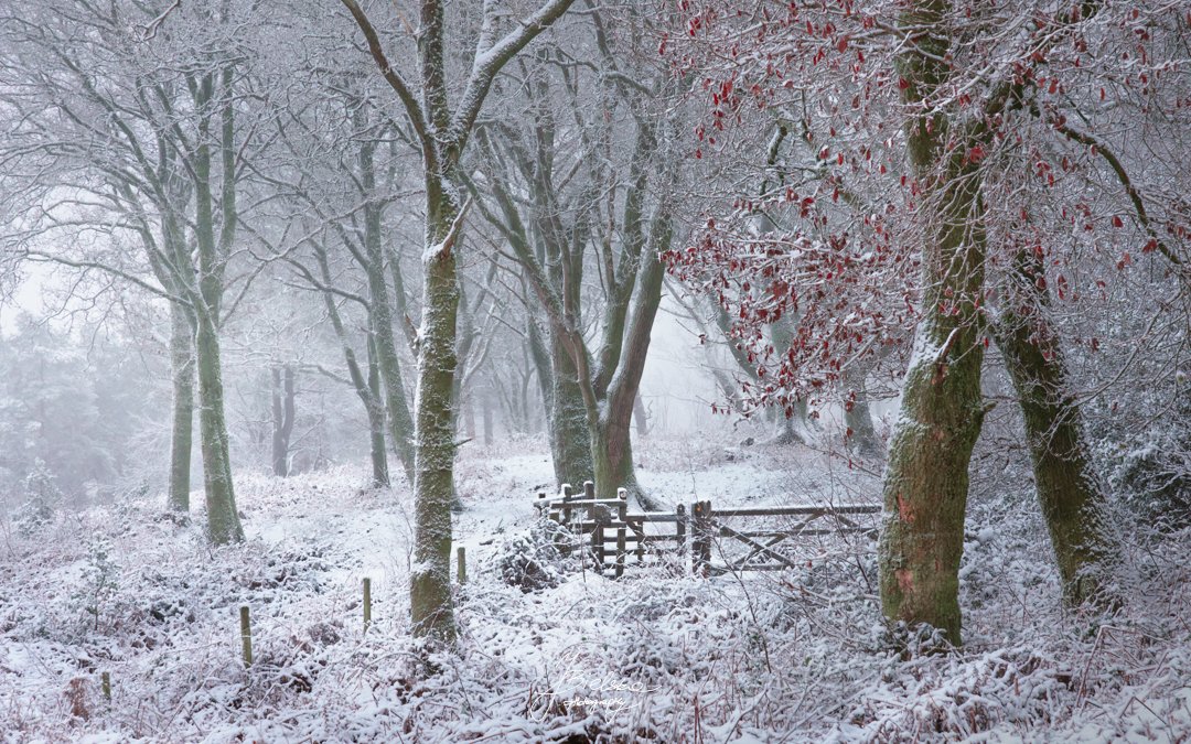 JustynaBielska3's tweet photo. Finally! The Winter has visited hills in Surrey allowing me to take some winter shots of this beautiful area.
The picture below is one of some taken yesterday morning. https://t.co/coWlQoRqSi