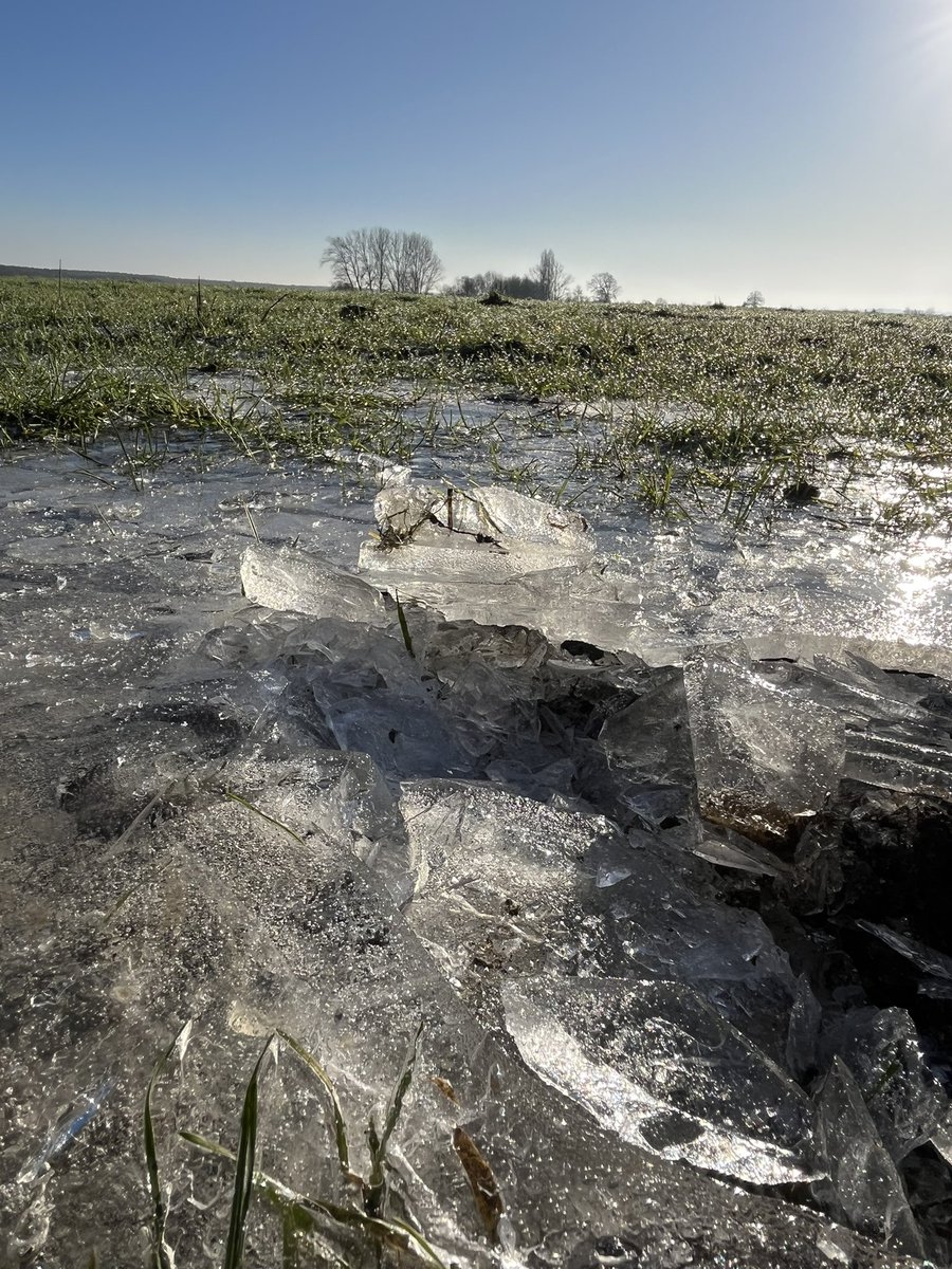 Corrina Baxter tweet media