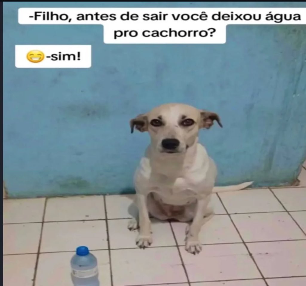 shitpostverdade's tweet photo. https://t.co/v1jxjzINuX