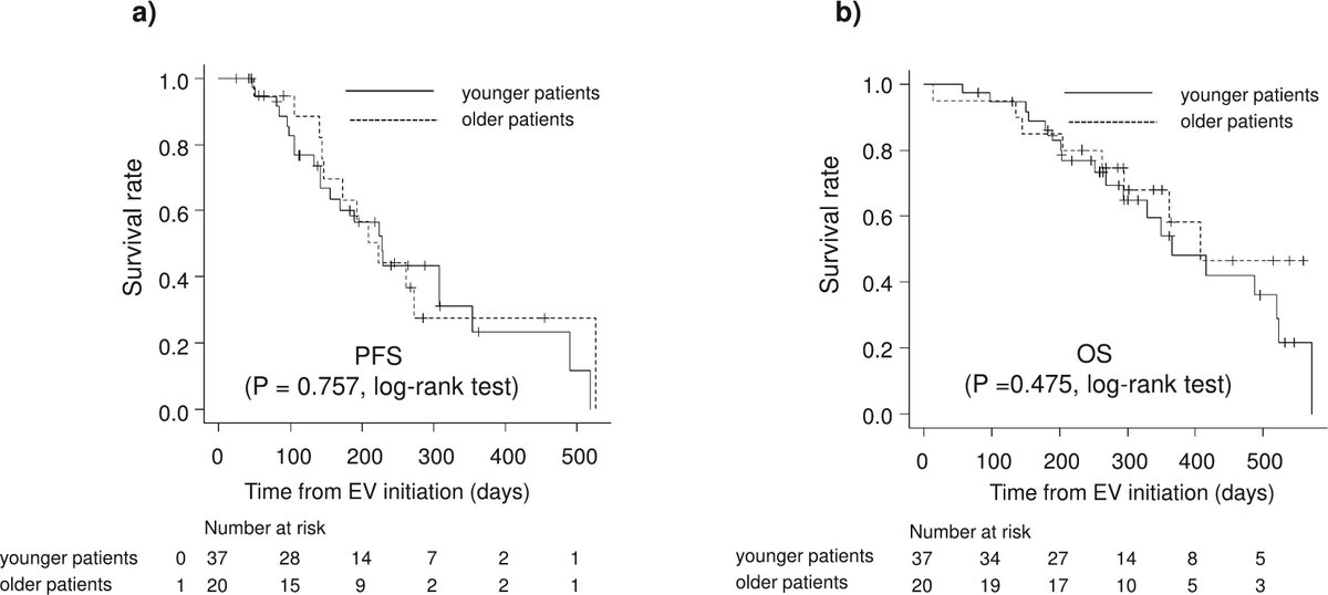 Age doesn't limit EV efficacy! Older patients (≥75) saw an ORR of 60%, with median progression-free survival at 223 days and OS at 407 days—comparable to younger patients. ⬇️ % of liver  dysfunction (0% vs. 24%)  #CancerResearch #bladdercancer sciencedirect.com/science/articl…