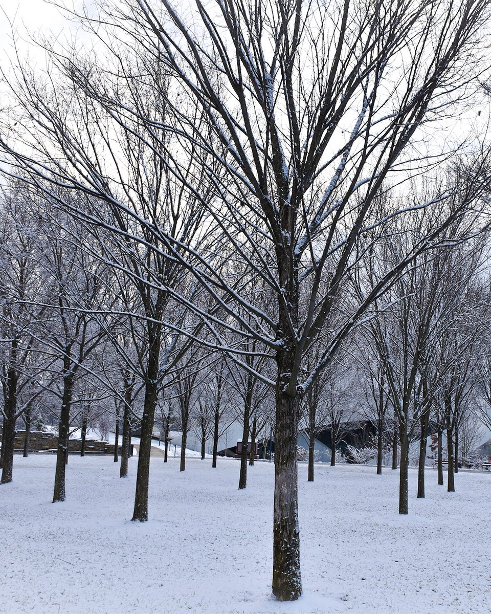 NationalVMM's tweet photo. Beautiful scenes from the museum as we got our real first snow of the season.❄️❤️
#nvmm #firstsnow #colombusohio #cityofcolumbus https://t.co/GBM21p6PpM