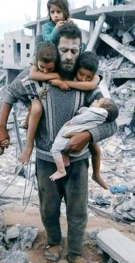 Gaza_Strip0's tweet photo. My account is dying please comment 🍉or 🇵🇸 https://t.co/i3PXVHVP7B