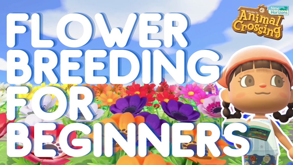 pocketoffish's tweet photo. 🗣️ is anybody out there still playing animal crossing? I finally posted a video I filmed last year l m a o. 

#animalcrossing #acnh 

https://t.co/EONBqjqDTh https://t.co/7PqLr3jZek