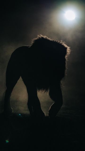 melihdarendeli's tweet photo. Night 🌙 https://t.co/Ky4chK9VUm