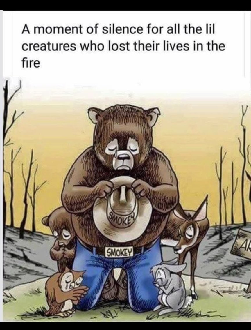 🇺🇸🇨🇭Nomjbean🇬🇧🇺🇸 tweet media