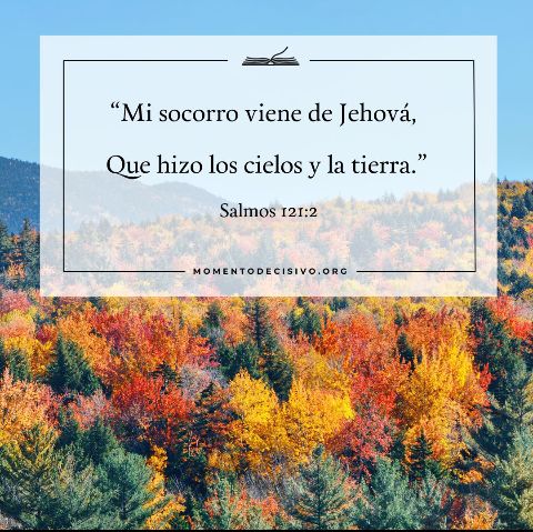 angeldejehova2's tweet photo. "Alzaré mis ojos a los montes;
¿De dónde vendrá mi socorro?"
Salmos 121:1.
RVR1960. https://t.co/oZgb2SsE1V