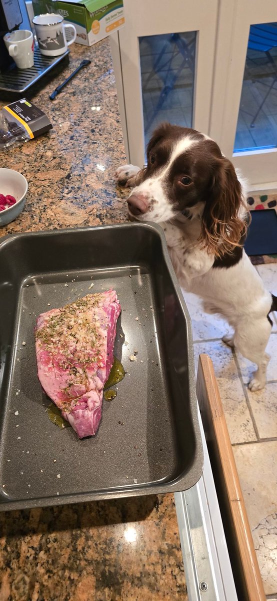 redteamJSY's tweet photo. 4-hour roast shoulder of Jersey lamb... I got lazy and chucked the veg in as well (and should have turned the potatoes a few more times) ๐
#Saturdaycooking #roastlamb https://t.co/uwSV1TfSCI