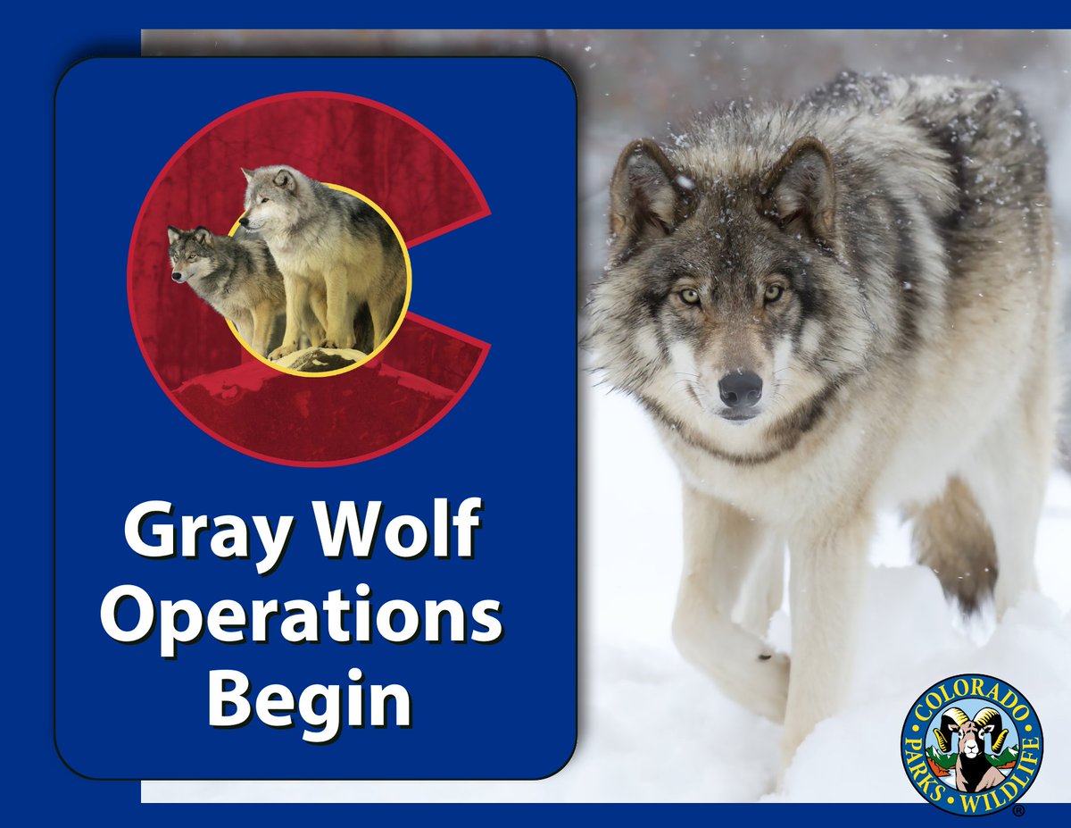 Colorado Parks and Wildlife tweet media