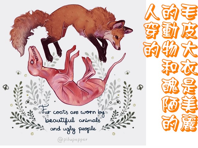 hkcatrefuge's tweet photo. https://t.co/dxDuzncoJ0