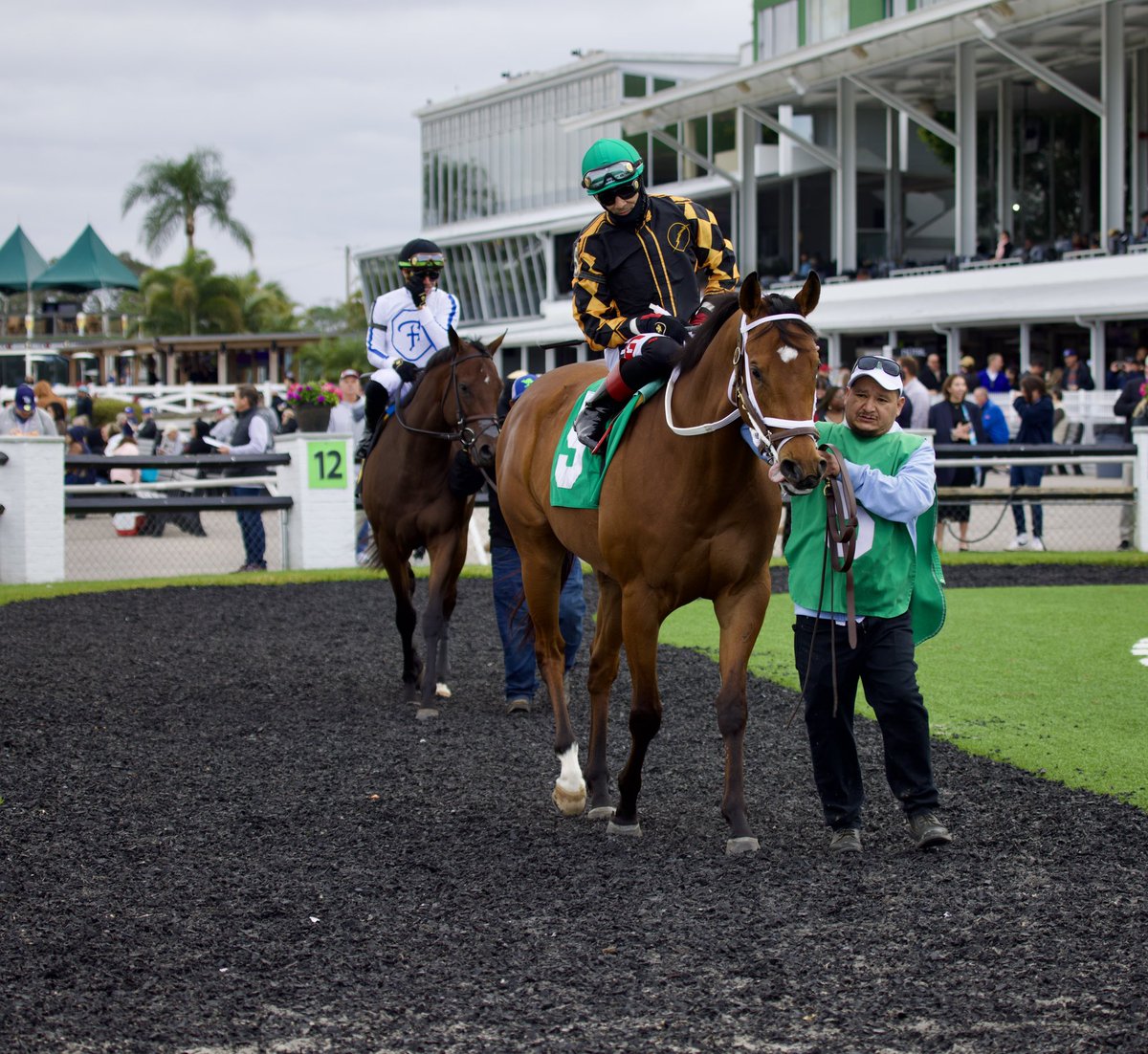 TampaBayDownsFL's tweet photo. Naughty Rascal and Edwin Gonzalez win the 27th Running of The Pasco Stakes for trainer Gerry Bennett. The 3 yr old #FLbred colt is owned by Mr Pug LLC and J.P.G. 2 LLC. Congratulations to the winning connections! π₯πΎπ https://t.co/JXf9sxgUj2