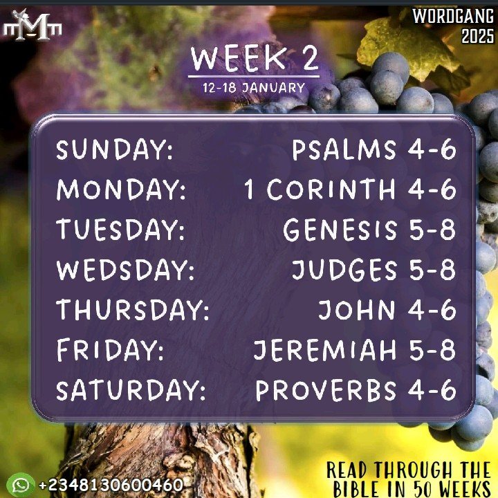 TaiwoDafidi's tweet photo. This is the reading plan for the week. 

The readings are in chapters

You can download the entire 2025 Bible reading plan here 👇🏿
https://t.co/Ktde7jGfY2

#WordGang
🔥 https://t.co/i2RdLmq8Oz