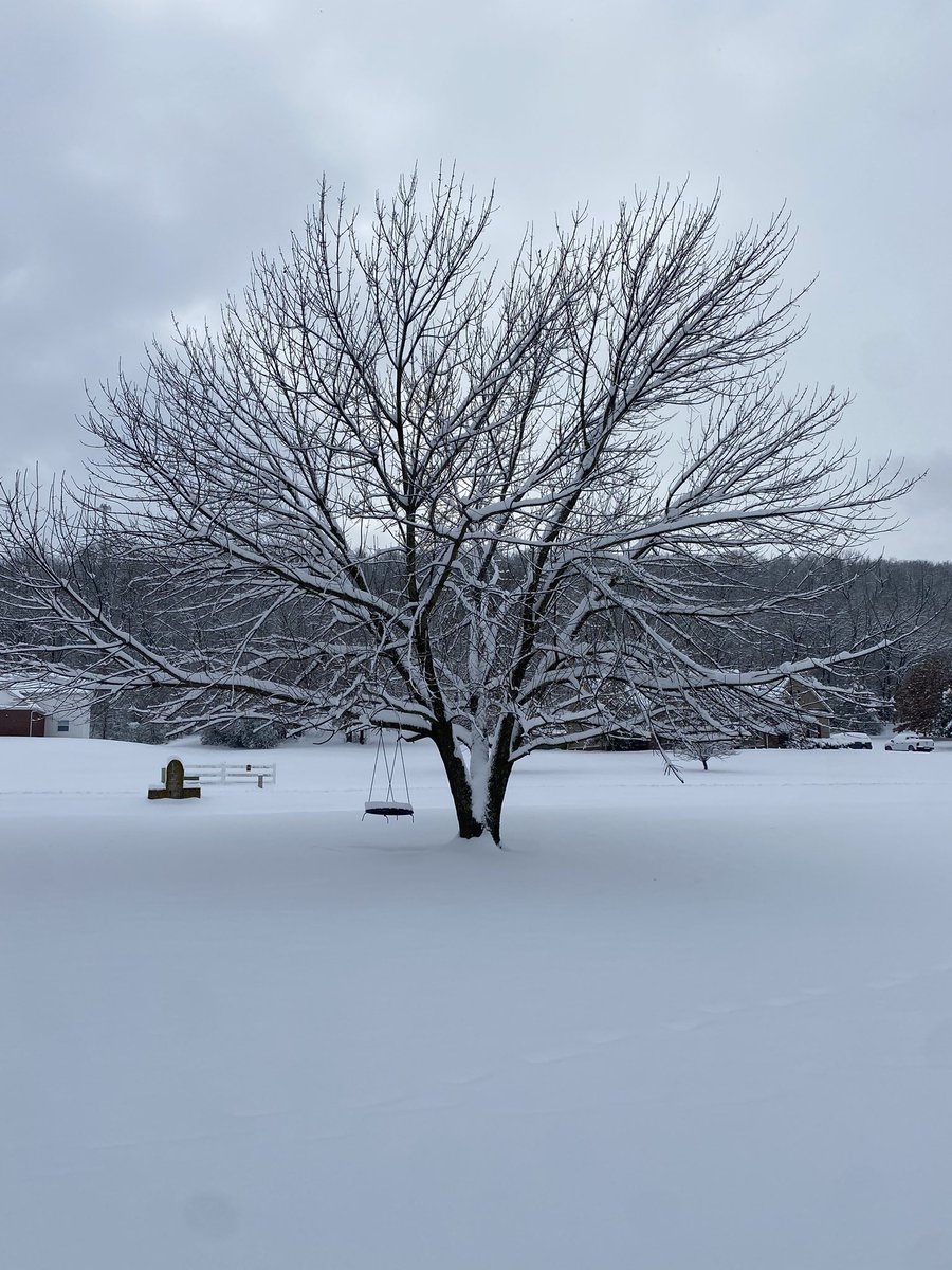 SpringsGarrett's tweet photo. So much snow in AR!!! https://t.co/hzn1OaJBMt