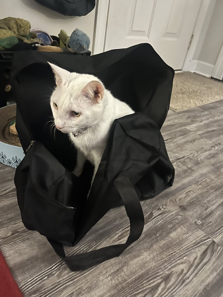 Paul Blart tweet media