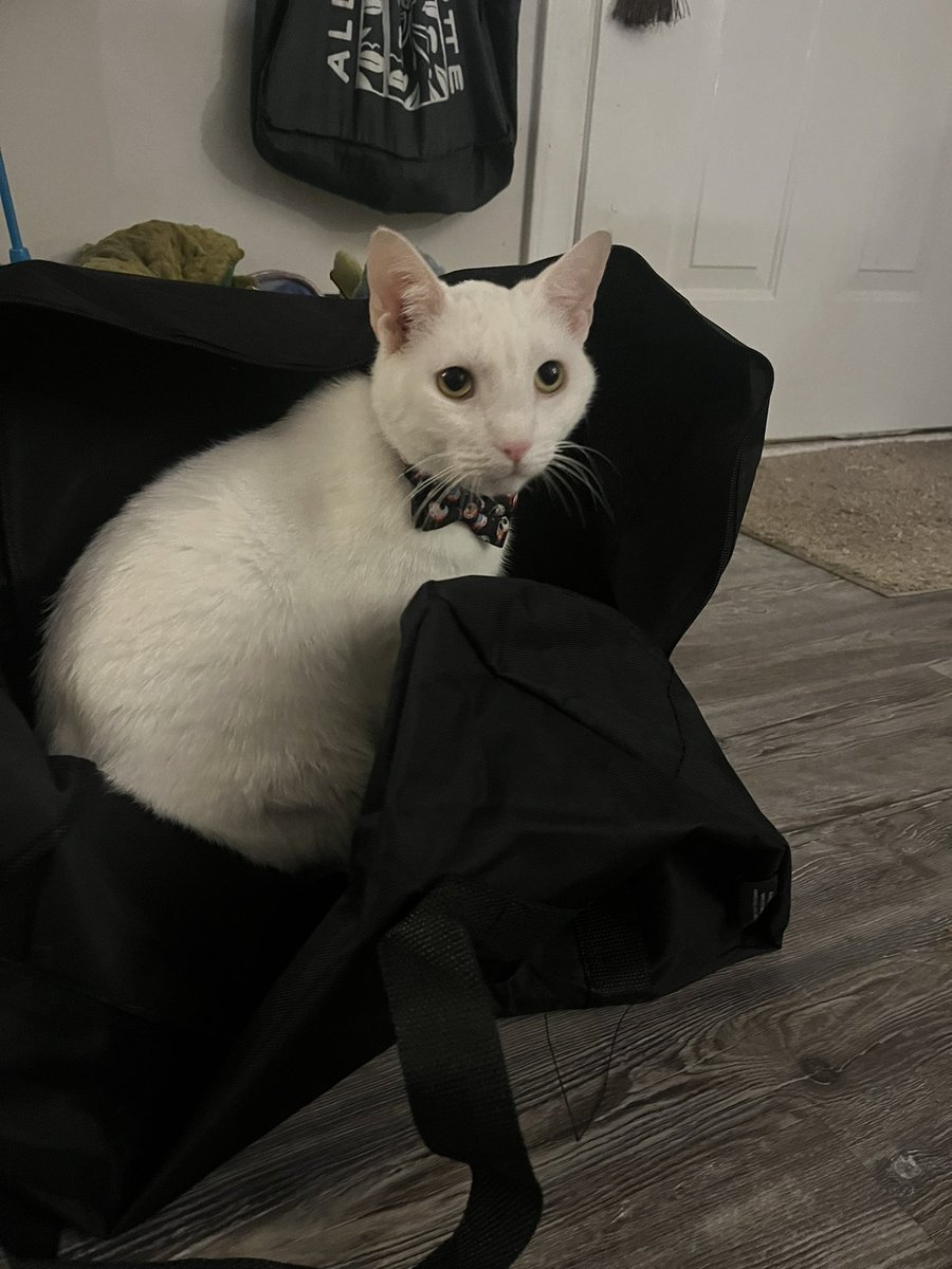 Paul Blart tweet media