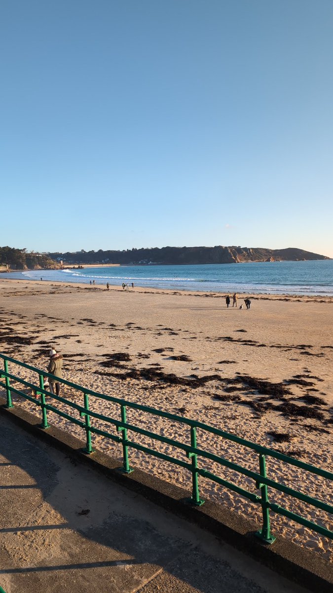 Verity Thomas 🇯🇪 tweet media