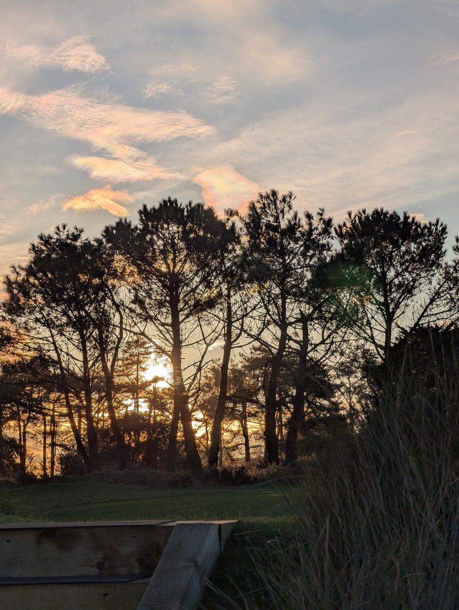 Verity Thomas 🇯🇪 tweet media