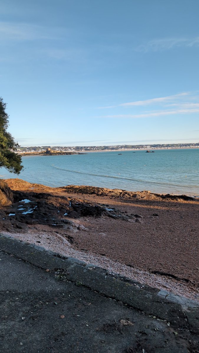 Verity Thomas 🇯🇪 tweet media