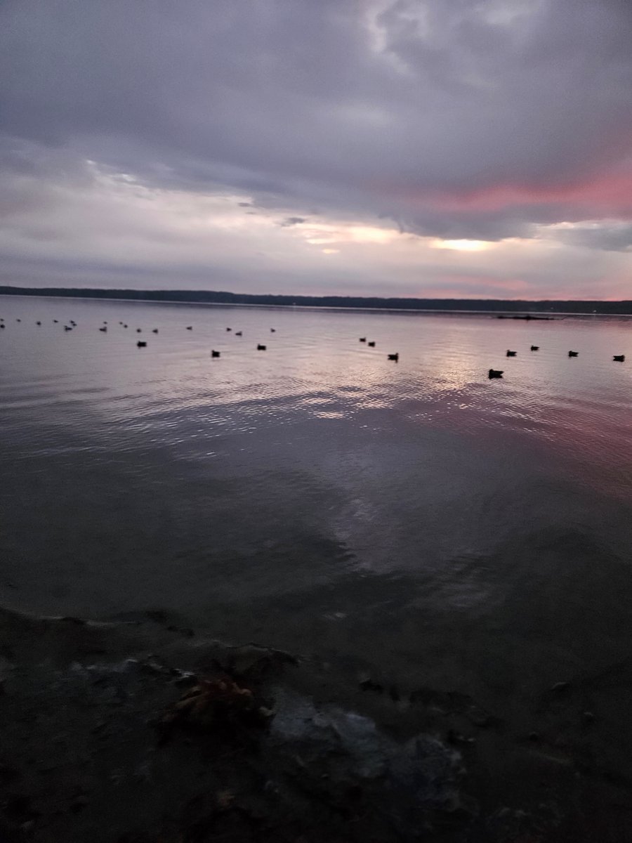 ohiodnr's tweet photo. What a striking sunrise! We love all the colors in this sunrise over Pymatuning State Park earlier this week. Where's your favorite place to watch the sun come up?
๐ธ: Angela Palmer
#odnr #ohiostateparks #pymatuningstatepark #sunrise https://t.co/c02qNu0jEg