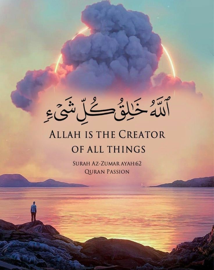 Al_Quran_011's tweet photo. reposts, it will help you🤍🕊️ https://t.co/sJXxM6zGpa
