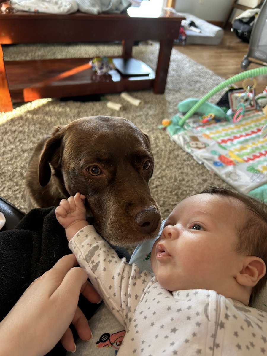 Susie Heavner tweet media