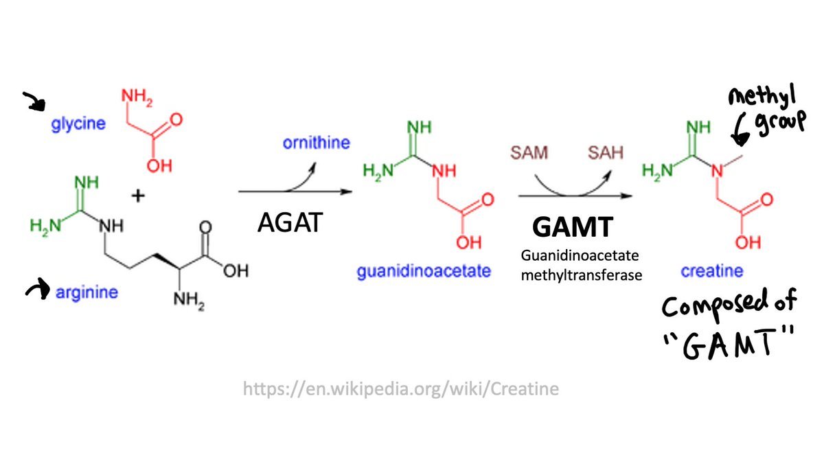 StudyRare 🧬 tweet media