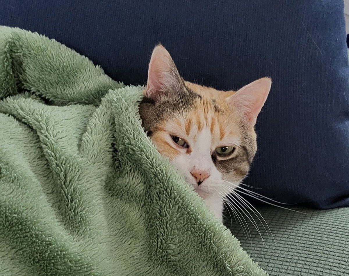 mirabetterment's tweet image. &quot;Mom, it&apos;s too cold! Fix it!&quot;