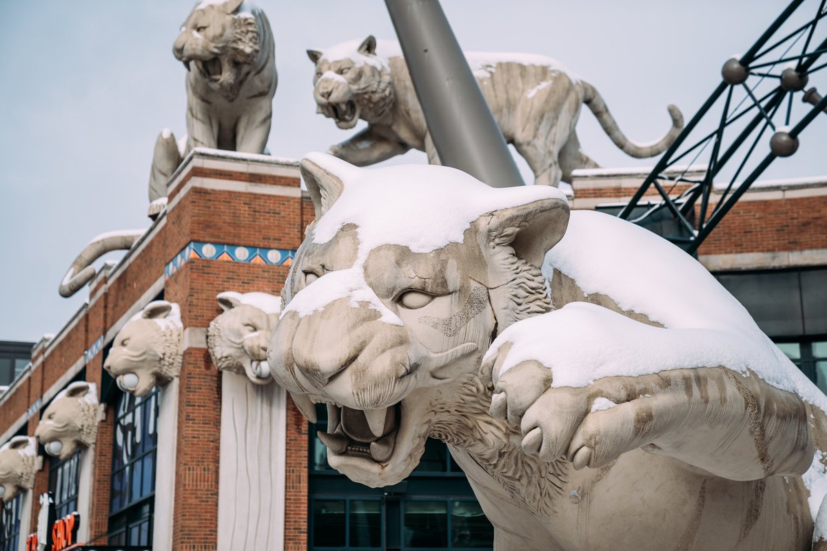 tigers's tweet photo. Snow day ❄️ https://t.co/1alq54zVmA