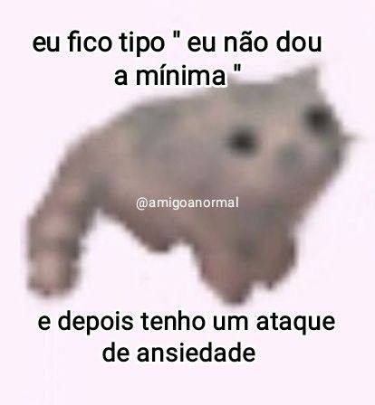 perfil dedicado a gatinhos e peitos (@odeiootaco) on Twitter photo 
