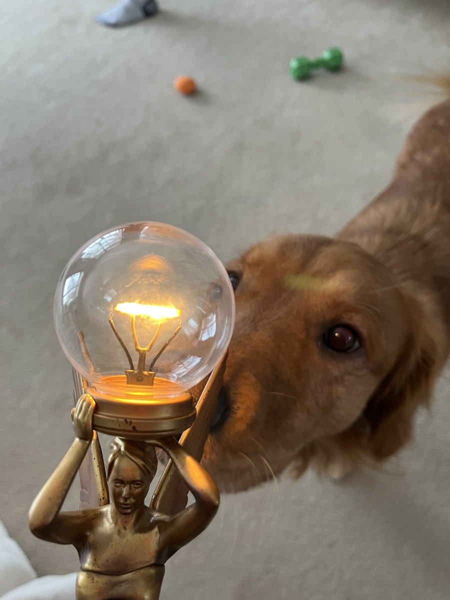 ToPeachTheirOwn's tweet photo. Lamp finally came. Now I have 2 Angels to lead me through Remedy’s next chapter @SamLakeRMD https://t.co/krOQeeKTOT