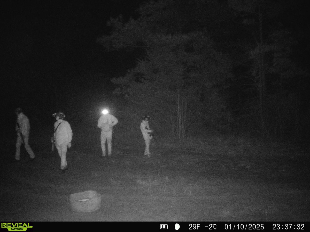 Meal Team 6’s newest recruit <a href="/ItBeNolanTho/">• NolanTho •</a>