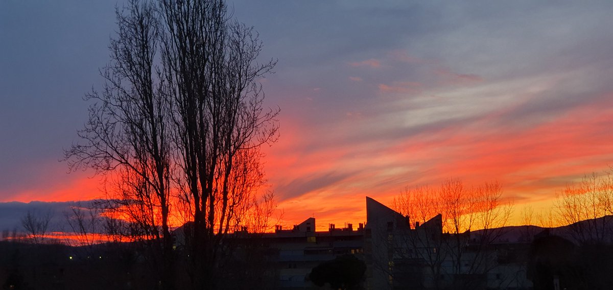 HeleneWeifner's tweet photo. Sunset in Florence, Italy https://t.co/LPAb4q0dmx