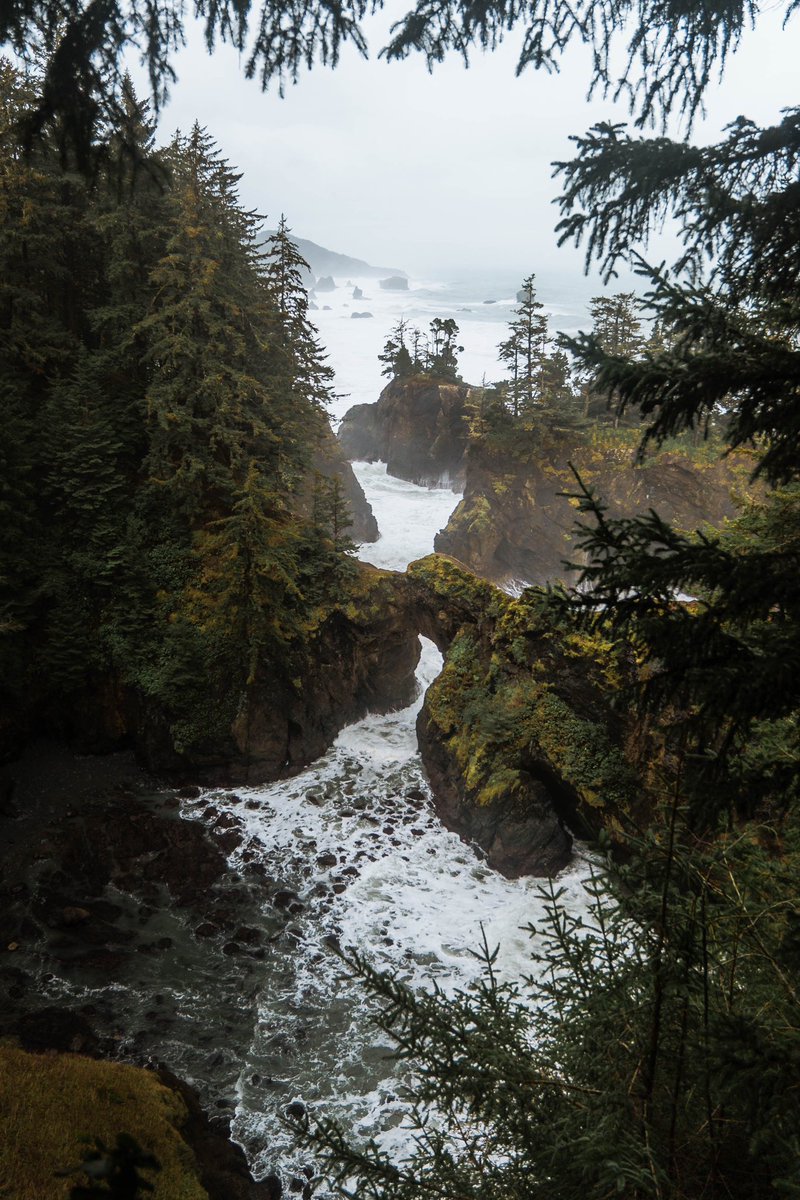 Hunter Rayl | Photographer tweet media