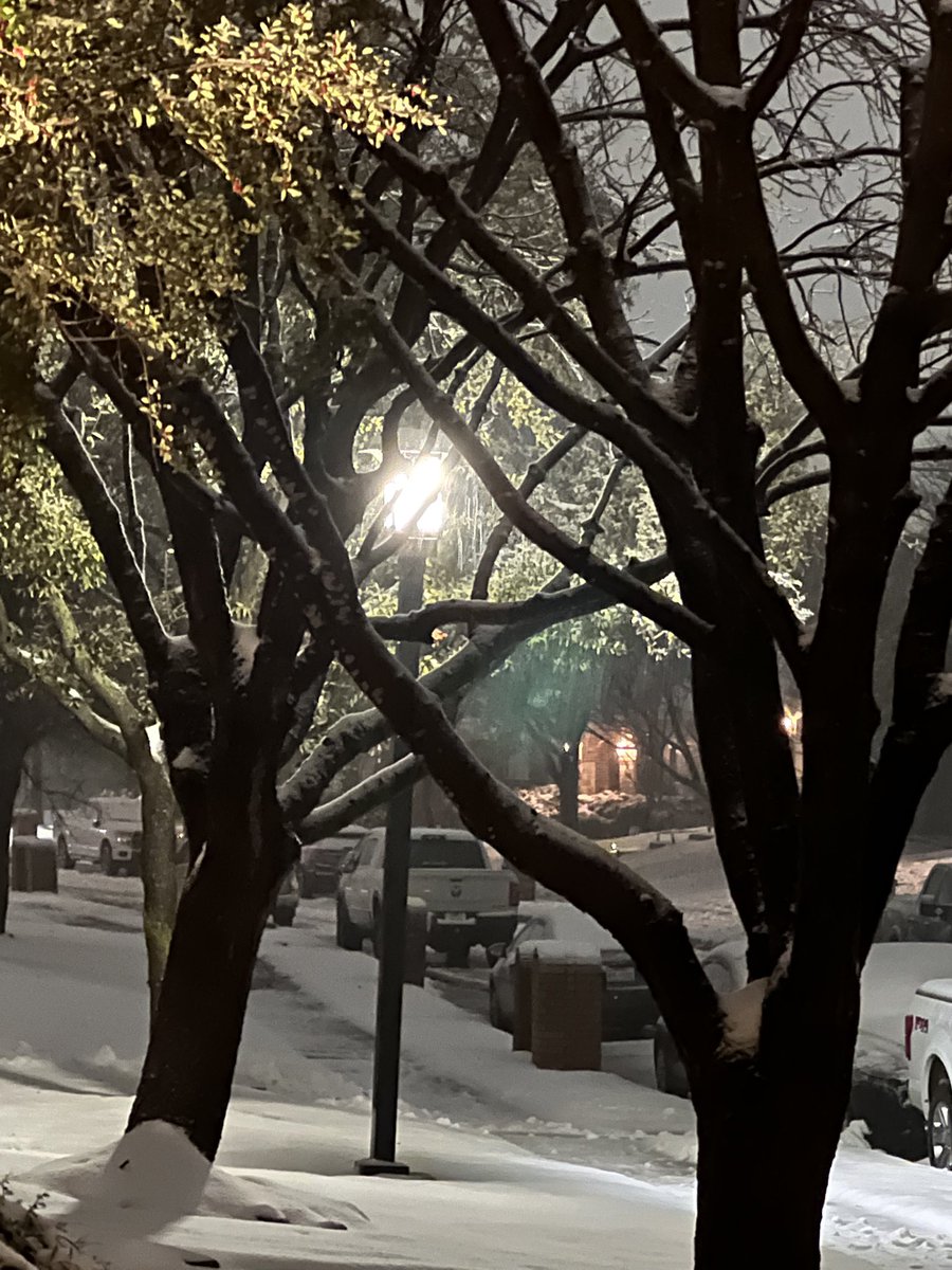 HairsGray's tweet photo. Probably not going to see snow like this again in Dallas/Frisco in a LONG time. https://t.co/mEAKUb2D0v