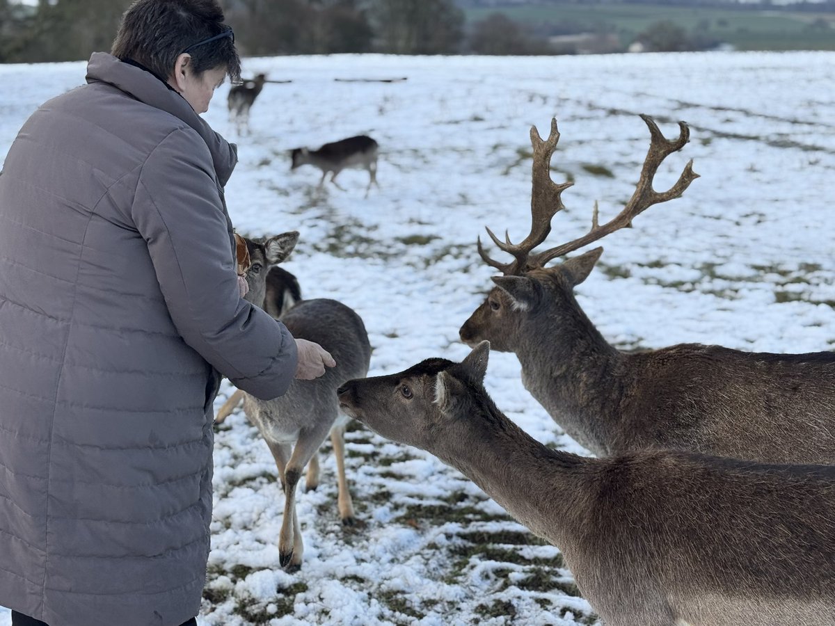 SpanielsSuper's tweet photo. Err
What’s going on here?
That’s our mum feeding dogs with big ears
#CheatingOnUs #HowCouldShe https://t.co/WcI5pLq3bn