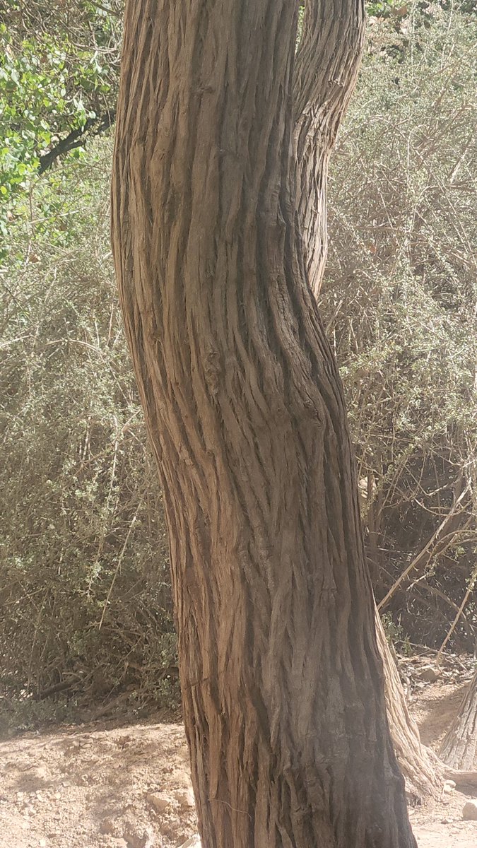 Quinn the Eskimo tweet media