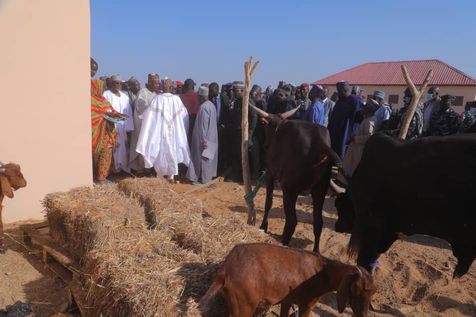 dauda_iliya's tweet photo. Zulum’s ranch first of its kind in the country - Prof Jega 

... Minister brands @ProfZulum with livestock symbol

Former Chairman of the Independent National Electoral Commission (INEC) and Co-Chair of the Presidential Livestock Reforms Committee, Professor Attahiru Jega, has commended Borno State Governor, Babagana Umara Zulum, for establishing a cattle ranch that is the first of its kind in Nigeria.

Professor Jega made the commendation on Saturday in Mafa LGA at the commissioning of Ngarannam Livestock Improvement and Ranch Settlement constructed by Zulum’s administration, with the support of the federal government.

“I must say that I witnessed something I had never seen in our country today. We have seen today the vision of a leader, the passion and commitment to what clearly will help drive economic growth, uplift the lives and livelihood of people and provide employment to our citizens,” Prof Jega said.

“It is highly commendable and encouraging that @BornoGovt State has shown leadership and commitment to livestock development based on what we have seen at today’s event,” Jega added. 

He also said, “It is gratifying that the state is ahead with the launching of the Annual Animal Vaccination Scheme and distribution of livestock for livelihood restoration and economic empowerment of the citizens. It is commendable that the state has both the Ministry of Livestock and Fisheries Development and Borno State Livestock Management Agency (BOLMA).”

Delivering his address, Governor Zulum noted that Ngarannam Livestock Improvement and Ranch Settlement is a 4-square km project built for 461 nomadic families from eighteen communities affected by Boko Haram insurgency.

He said, “In addition to a house, each of the 461 families received pairs of bulls and heifers, goats, and a humanitarian relief package consisting of essential food and non-food items.”

“The project has facilities that include a housing estate with road networks, schools, health clinics, veterinary services, and state-of-the-art dairy and beef upgrading centres.”

“Other facilities are pasture development centres, milk collection centres, earth dams to secure water supply, markets to foster local trade, and security outposts to ensure a safe and secure environment for all.”

... Minister brands Zulum with livestock symbol

Meanwhile, the minister of Livestock Development, Idi Mukhtar Maiha, has branded Borno State Governor, Babagana Umara Zulum, with the ministry’s logo appreciating his commitment to livestock development.

The ministers said, “I am delighted to join you at this occasion of the commissioning of Ngarannam Livestock Improvement Ranch Settlement built by Borno State Government. I wholeheartedly congratulate and commend His Excellency, the Executive Governor of Borno State, on this laudable project which will immensely benefit the good people of Borno State and Nigeria in general, with attendant implications for addressing the food security challenges in our nation.”

Earlier in his welcome address, the Deputy Governor of Borno and the overseeing Commissioner for the Ministry of Livestock and Fisheries Development, Dr Umar Usman Kadafur, stated that Ngarannam Livestock Improvement and Ranch Settlement is one of the three established by the Zulum administration, one in each senatorial district of the state.

According to him, while that of Ngarannam is commissioned, the other two are also at 90% completion stage. He said, “It is with immense gratitude and pride that I stand before you today to welcome you all as we commission Ngarannam RUGA as first in the list of the three livestock ranching centres (RUGA) located on Grazing Reserve across the three senatorial districts of Borno State.”

He added, “These centres symbolise our commitment to sustainable development, peaceful coexistence, and economic empowerment for our people. The remaining two RUGA centres will be commissioned in due course as the works have reached over 90 per cent completion.”
