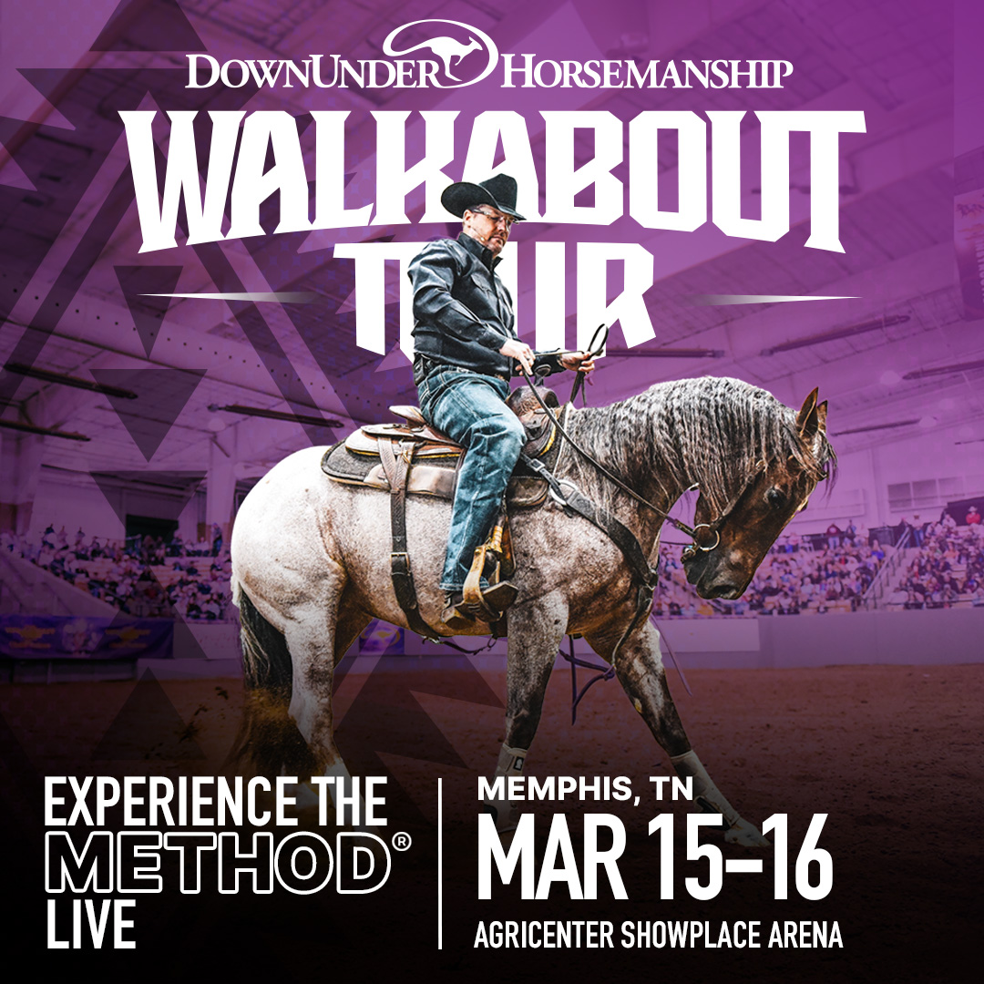 DownunderHorse's tweet photo. We're bringing the Walkabout Tour to Memphis in March! Spend the weekend with us at the Agricenter ShowPlace Arena, March 15 & 16.
https://t.co/npnXktRUAL
#ApplyTheMethod #WalkaboutTour https://t.co/M2qL35q8f9
