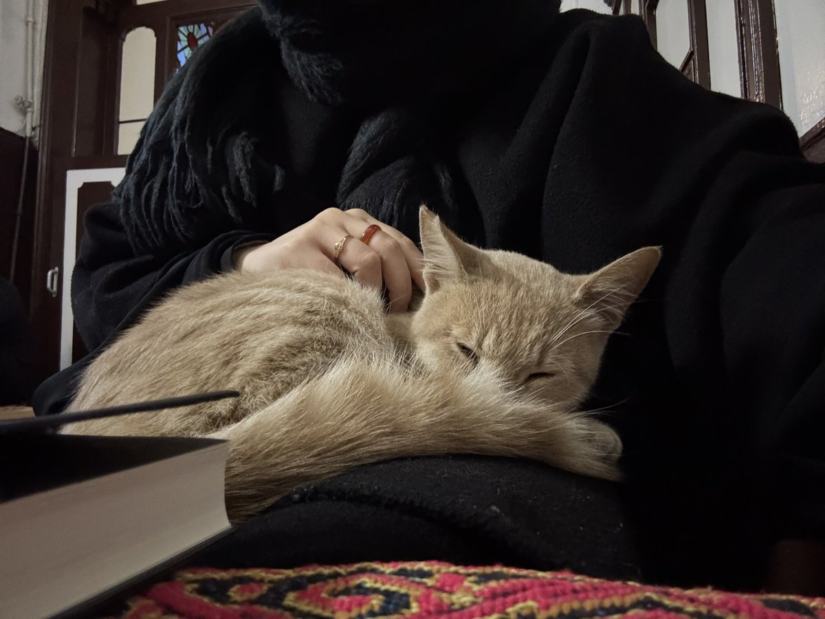 yalın, sade, huzurlu an’lar✨🫶🏻🌷