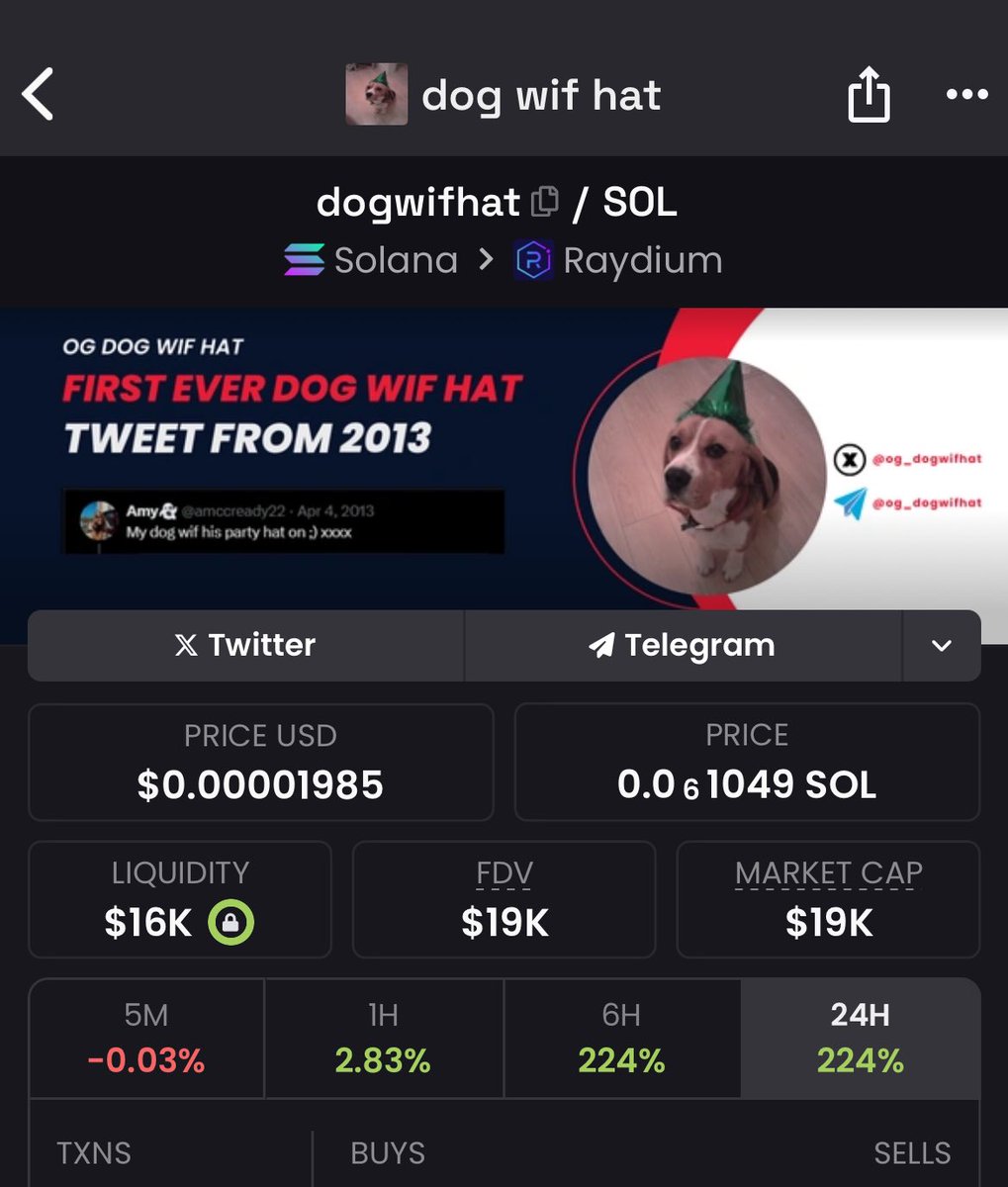 OG_DogWifHat's tweet photo. Some numbers seem inconsistent as i’m the first #Dogwifhat $wif 🤔🐶 https://t.co/8sYrijeww2