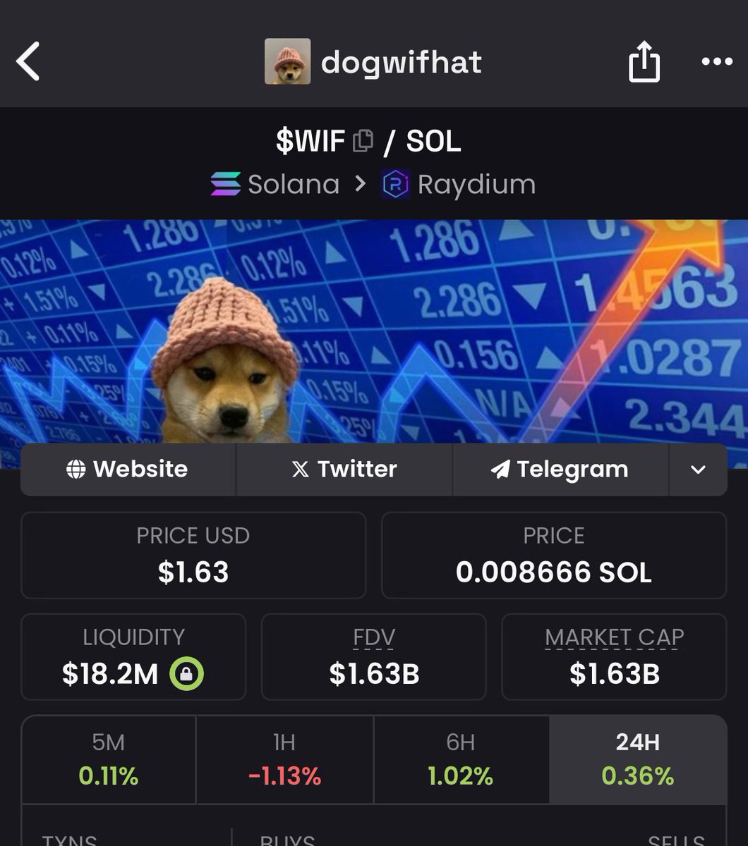 OG_DogWifHat's tweet photo. Some numbers seem inconsistent as i’m the first #Dogwifhat $wif 🤔🐶 https://t.co/8sYrijeww2