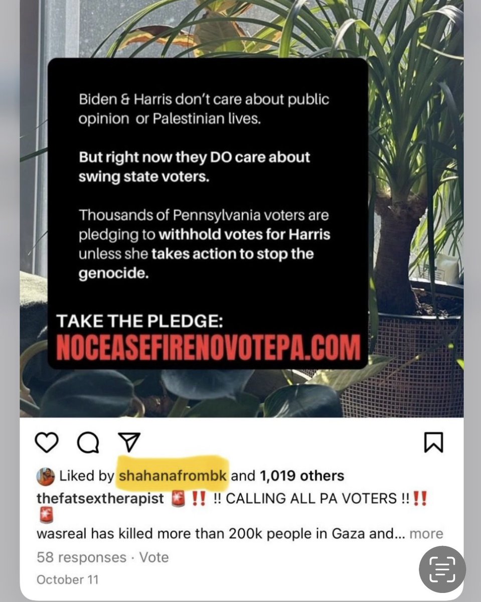 BklynBridgeNYC's tweet photo. lol. You literally spent 10 months (Feb to mid-Oct) supporting the opt out/uncommitted movement in MI & PA which helped get Trump elected. Stop gaslighting us. #FakeDem https://t.co/KWD7d0MAKr