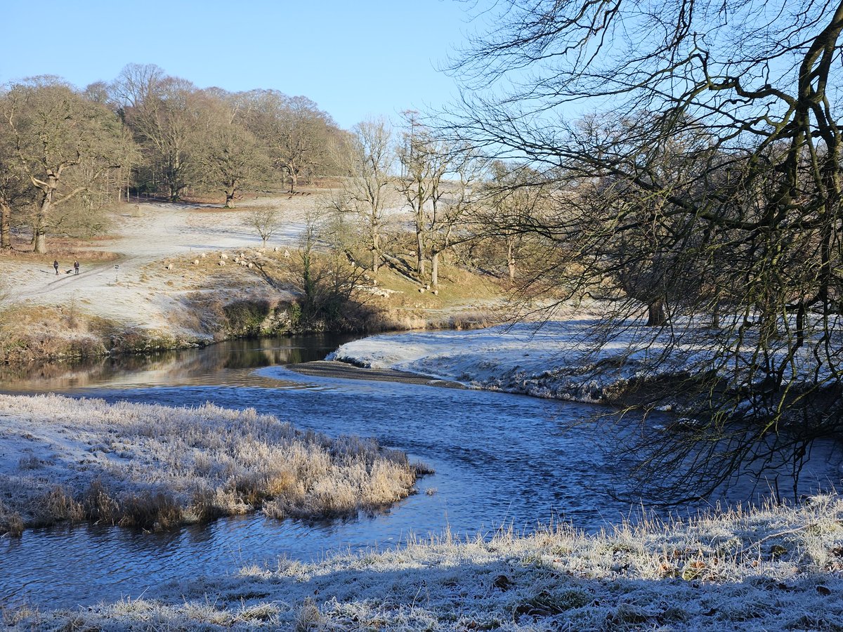 Levens Park looking beautiful on a frosty day ❄️🦌#levens #Cumbria #deer #photography #frosty #weather #trees #nature