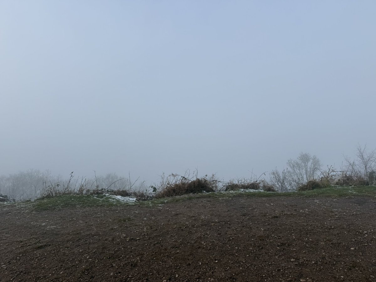 Icy and misty for todays run 🥰