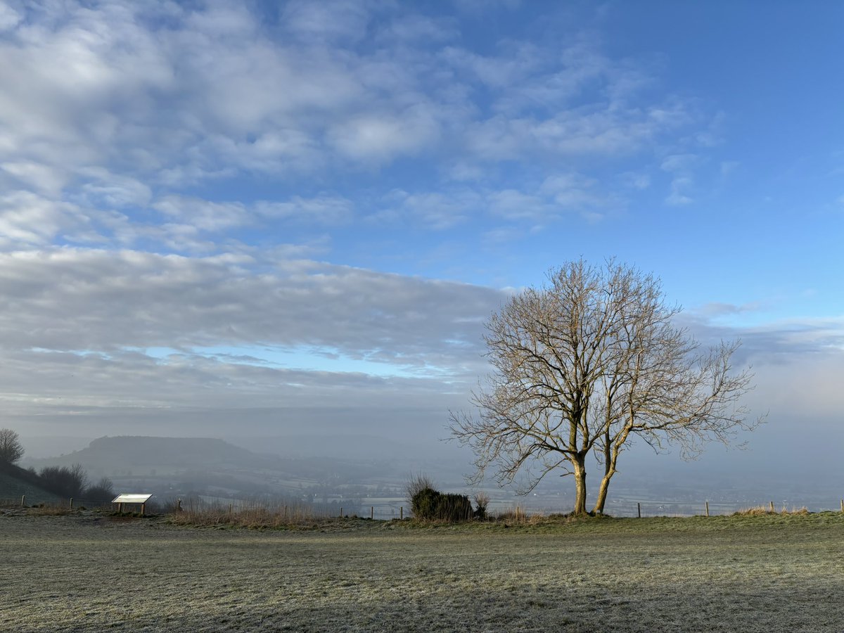 Susan Jones tweet media