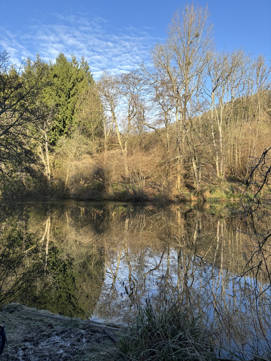 Susan Jones tweet media