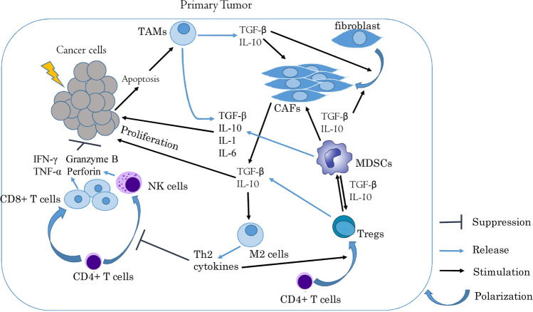 Socrates_31's tweet photo. 1/4
📢 New insights: Metformin might boost the immune system's ability to fight cancer!
🔬 It could reshape the tumor microenvironment to support immune cells.
📖 Reference: https://t.co/SHEhfnuXaB

#CancerTherapy #Metformin #Desci #Oncology @metforminsol $Met https://t.co/xg3odEWx5E