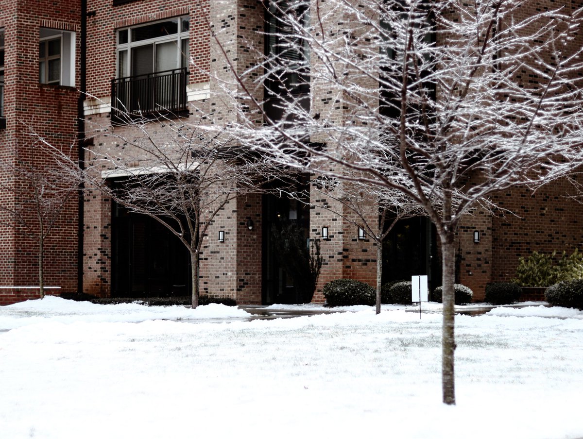 snow place like home.